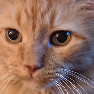 Meet your Posher, Janice